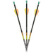 Carbon Express Medallion XR (Shafts) - Clearance-Canada Archery Online