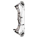 Hoyt AX-2 32 Compound Bow-Canada Archery Online