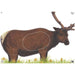 Maple Leaf Official NFAA Animal Target Face (Group 1)-Canada Archery Online